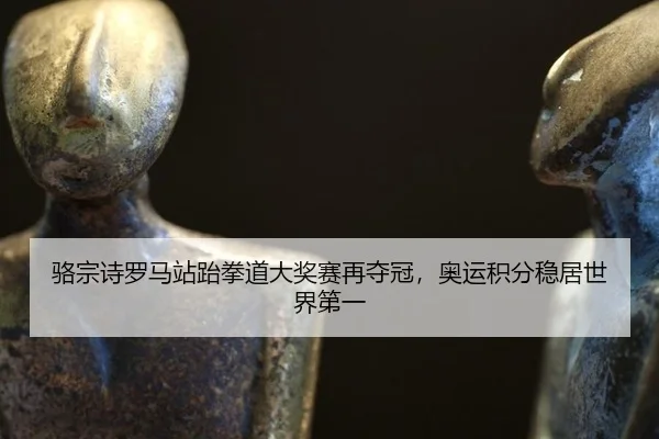 骆宗诗罗马站跆拳道大奖赛再夺冠，奥运积分稳居世界第一